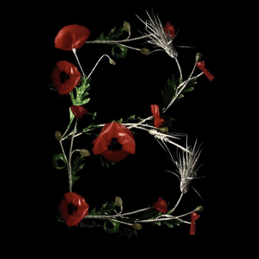 Bethany Rose Illustration